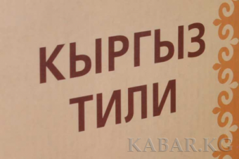 В Кыргызстане нормативно-правовые акты теперь можно принимать только на госязыке