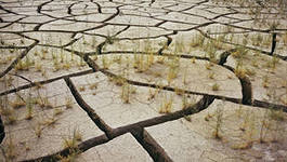Туркменистан развернул кампанию по озеленению пустыни