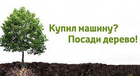 Проект Купил машину - посади дерево! запустили в Алматы