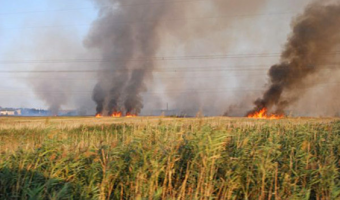 Туркменистан принимает срочные меры по предупреждению пожаров