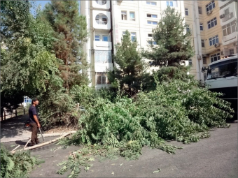 Туркменистан: Кто боится тени, или веселится и ликует весь народ