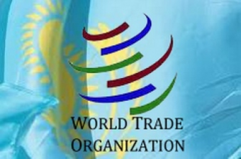 Не ВТОрить соседям. О болезненныых вопросах вступления Казахстана в ВТО