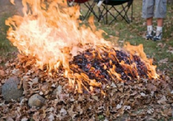Сжигание листьев в Ташкенте грозит жителям города