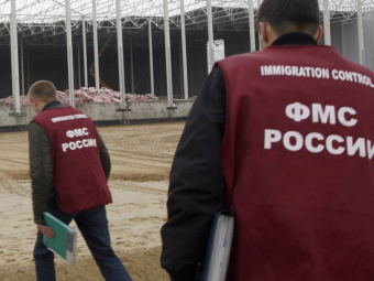 Российские депутаты предлагают маркировать товары знаком Без использования труда мигранта
