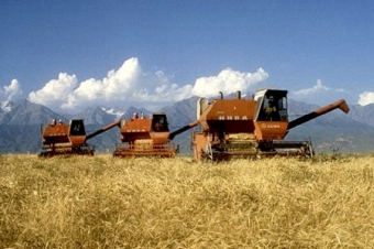 Китай может стать одним из основных рынков сбыта для казахского зерна