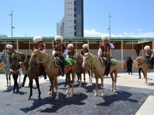 Туркменистан и Китай обсудили вопросы сотрудничества в области коневодства