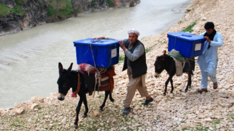 В доставке бюллетеней в Афганистане участвуют ослы