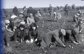 Сталинский голодомор стоил жизни полутора миллионам казахов