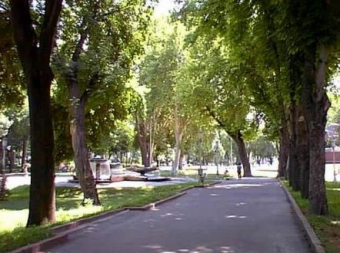 В Ташкенте растет количество парков и зеленых зон