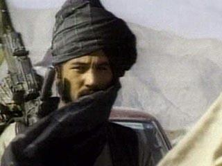 Вооруженные талибы уже вышли к границам Таджикистана