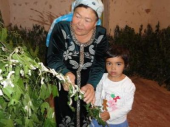 Шелковое рабство Узбекистана - второе после хлопкового