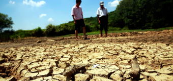Сельское хозяйство Китая может оказаться под угрозой из-за нехватки воды