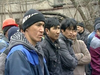 Трудовые мигранты из Узбекистана и Таджикистана занимают почти треть всего рынка труда Петербурга