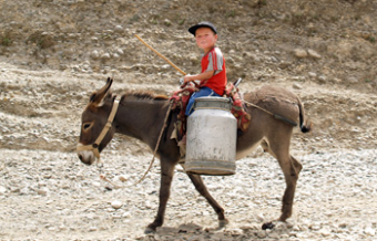 Кыргызстан. Когда вода на вес золота