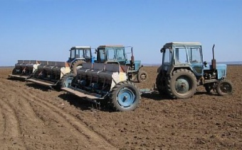 В Туркменистане начался посев озимой пшеницы
