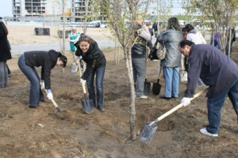 В Алматы призывают посадить три миллиона деревьев