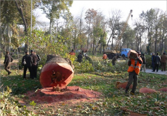Госкомприроды города Ташкента прокомментировал вырубку деревьев в столице
