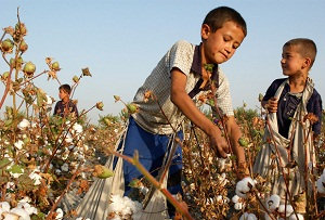 Всемирный банк не будет расследовать принудительный труд в Узбекистане