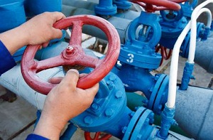 В ЕС задумались об импорте газа из Туркмении