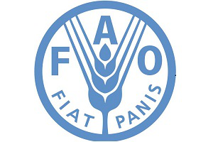 ФАО отметила успехи Туркменистана в обеспечении продовольственной безопасности