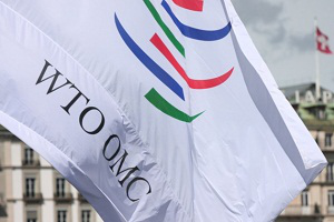 МИД: Казахстан официально признают членом ВТО в середине декабря