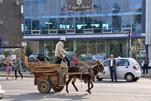 Администрация Ташкента впервые обнародовала бюджет города
