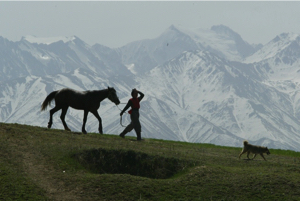 Из-за чего в Кыргызстане тают ледники?