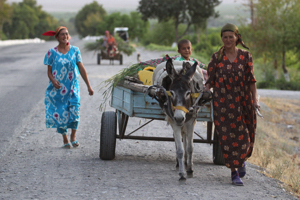 Где работают и сколько зарабатывают таджикистанцы?