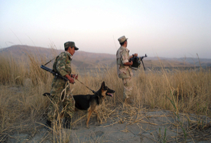 При прорыве вооруженной группы из Афганистана погиб таджикский пограничник