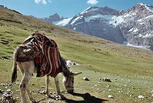 Что мешает развитию туризма в Таджикистане?