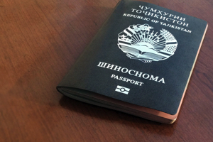 Душанбе расторг соглашение с Бишкеком об упрощенном получении гражданства  