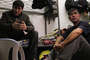 Эксперты: поток трудовых мигрантов из Узбекистана в Россию расти не будет