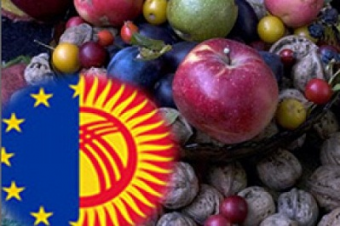 Иллюзия возможностей: Европейский рынок ждет товары из Киргизии