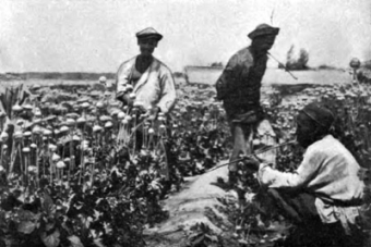 Борьба за опиум как одна из причин трагических событий в Семиречье в 1916 году