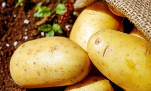 Приведет ли к дефициту ограничение на ввоз картофеля из Кыргызстана в Казахстан