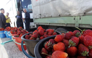 Бишкек связал возврат товаров с «неосведомленностью производителей»