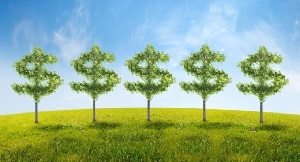 Кыргызстан. Зеленая экономика — приоритетное направление целей устойчивого развития