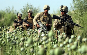 США выводят войска из Афганистана, но как сохранить контроль за наркотрафиком? 