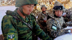 Две тактики пограничного бытия в Центральной Азии