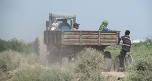 В сельскохозяйственном секторе Туркменистана 5 тысяч сотрудников лишились работы