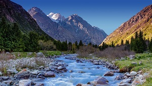 Жээнбеков: Киргизия рассчитывает на компенсацию от соседей за использование рек