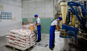 Казахстан. Возможно ли совместить «разумный протекционизм» с общим рынком?