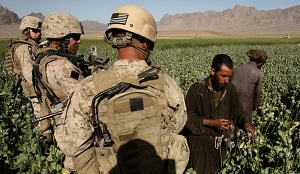 Москва и Кабул могут ослабить позиции наркомафии на севере Афганистана