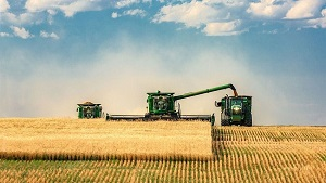 «Надо быть жестче»: Казахстан меняет подход к аграрной политике в рамках ЕАЭС