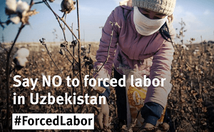 Узбекистан попросил правозащитные группы прекратить бойкот узбекского хлопка и текстиля