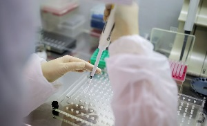 Россия передала Кыргызстану наборы для ПЦР-диагностики коронавируса