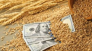 Какие выгоды получил Казахстан на рынке зерна из-за пандемии — Зерновой союз