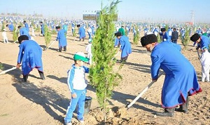 В Туркменистане ко Дню нейтралитета высадят 25 миллионов деревьев