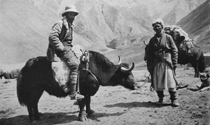 Кто и как решал «Памирский вопрос» в начале 20-го века?