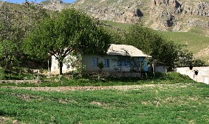 Почем земля: кто и зачем продает госсобственность Таджикистана